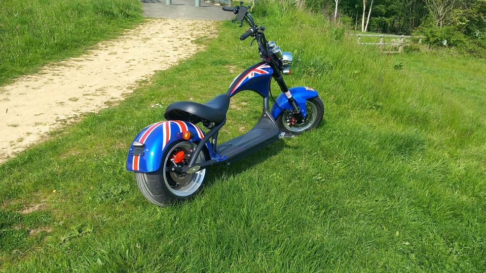 City coco 3000 eco chopper